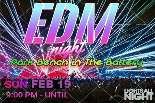 EDM Night at Park Bench